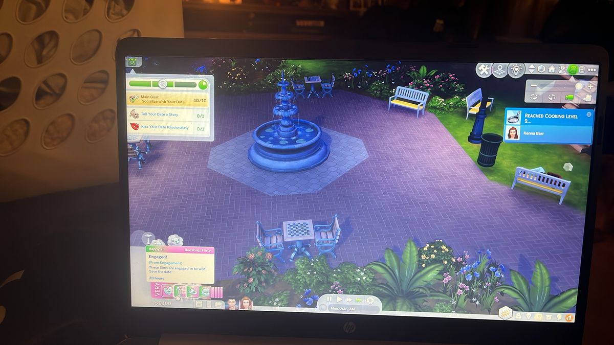 My sims have just got married